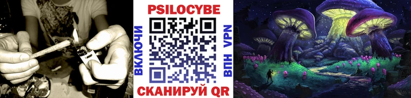 Галлюциногенные грибы Cubensis  купить наркотик  Лихославль 